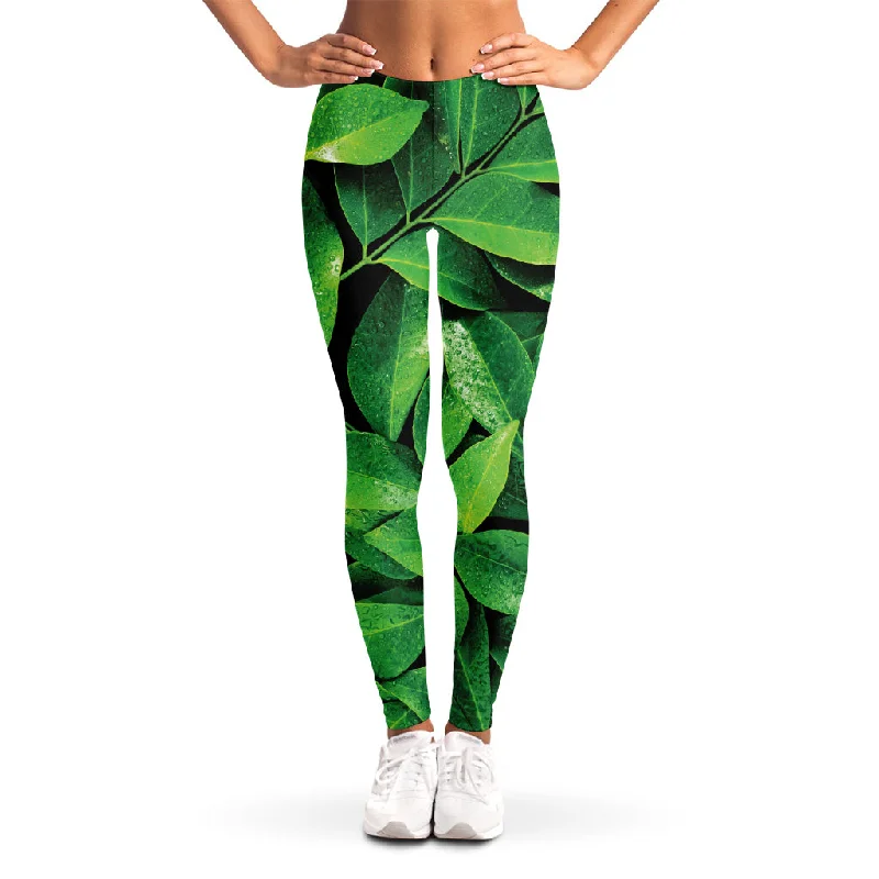 Fresh Green Leaf Print Women's Leggings